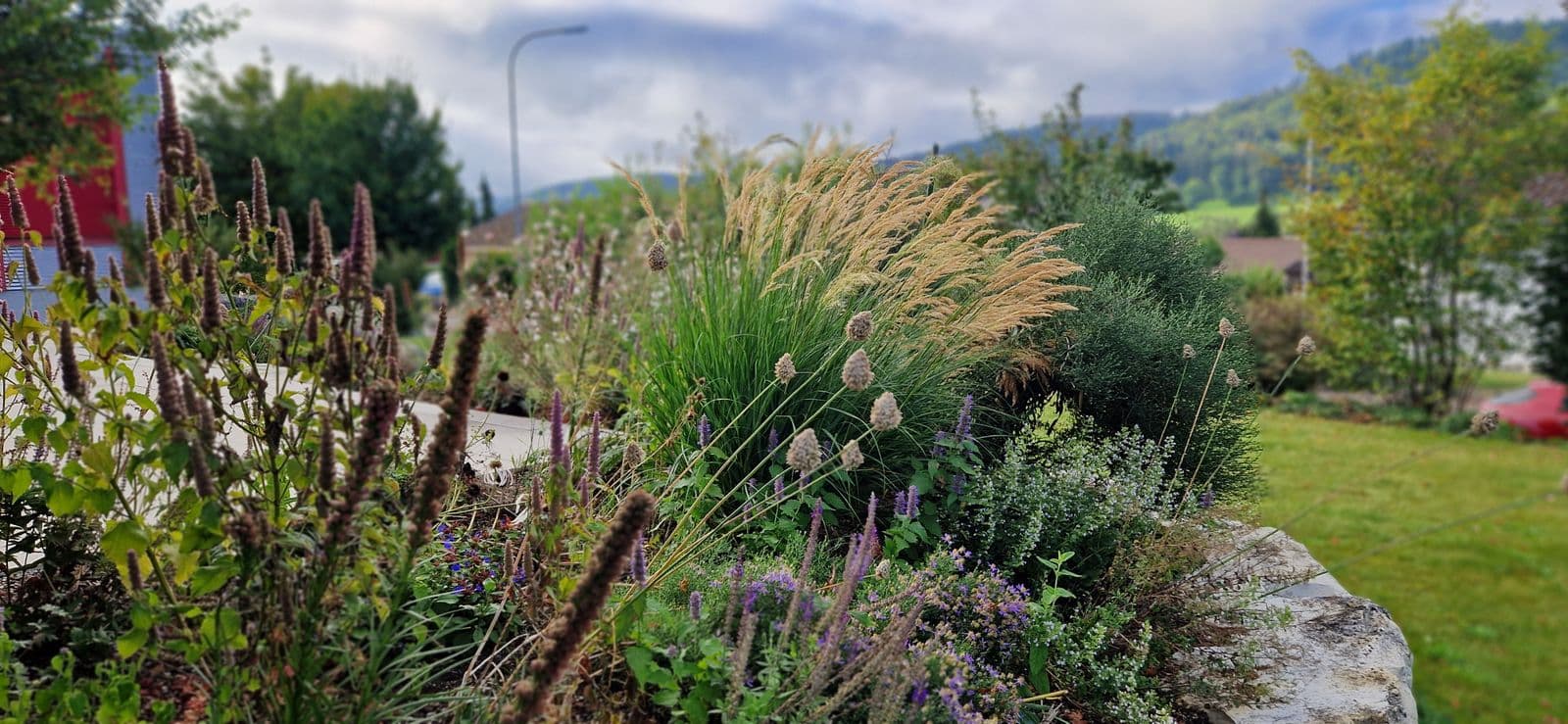 Gartenpflege & Unterhalt